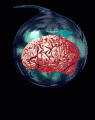 th_BrainPulse.gif